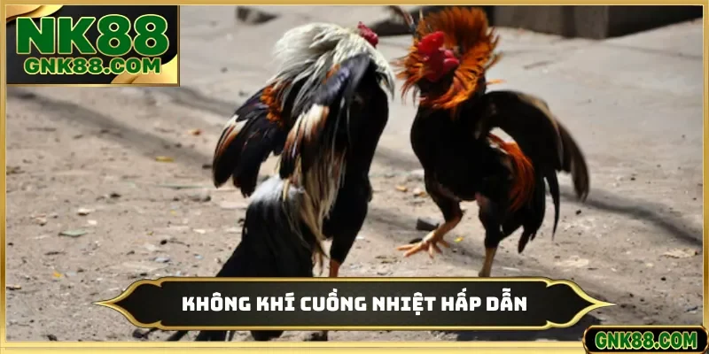 Không khí cuồng nhiệt hấp dẫn
