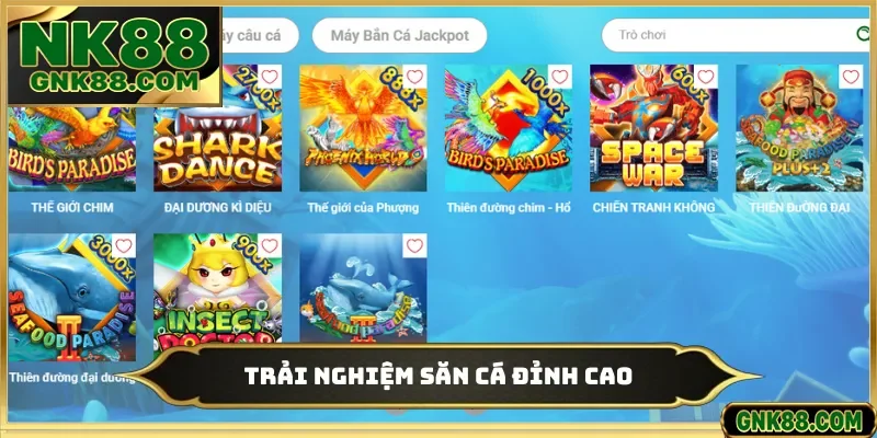 Trải nghiệm săn cá đỉnh cao