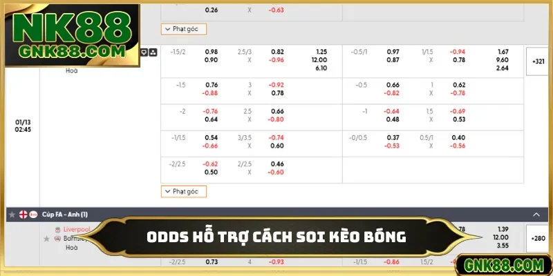 Odds hỗ trợ cách soi kèo bóng